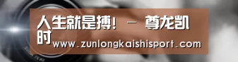 公司动态